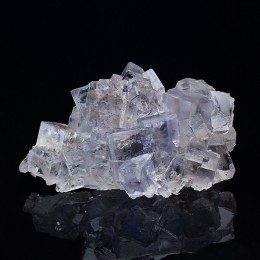 Fluorite La Viesca M05593
